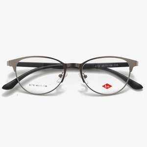 8700 48-17-138 Lightweight Steel Sheet Business Glasses